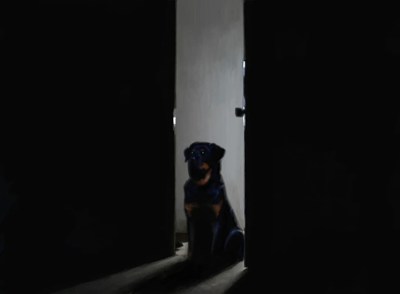 Cover Image of the Post